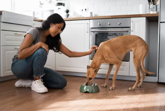Healthy Start: Why the Best Wet Puppy Food Matters for Development