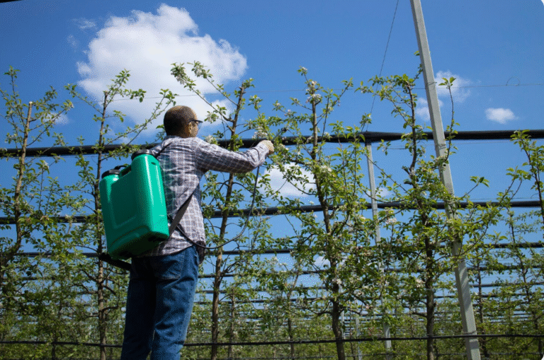 Fumigation Alternative Approaches to Fertilizer Efficiency