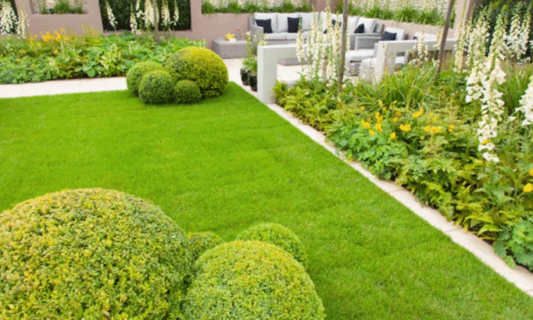 Boosting Property Value: The Role of Landscaping in Competitive Markets