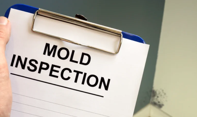 How Commercial Mold Inspections Can Prevent Long-Term Property Damage