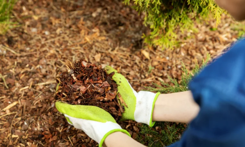 Why Choosing High-Quality Mulch Matters for Your Landscape