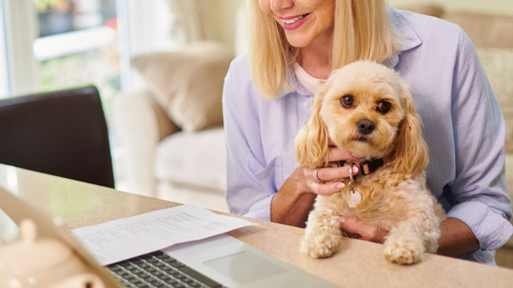 Happy Valley Pet Hospital: Exceptional Care for Your Beloved Pets